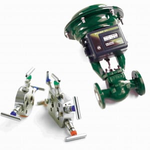 bkw instruments Valves