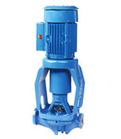 Goulds_3996_pump